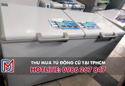 Thu mua tủ đông cũ giá cao tại tphcm