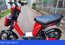 Thu mua xe đạp điện Pega cũ, thu mua tại nhà