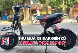 Thu mua xe đạp điện cũ tại Phú Nhuận, thu mua tại nhà