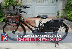 Thu mua xe đạp trợ lực, xe điện trợ lực tại tphcm
